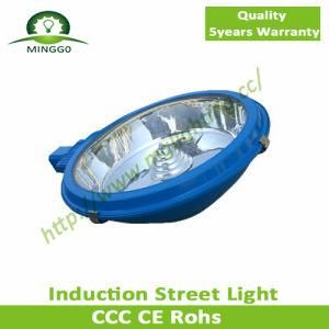 250W 260W 270W Induction Street Lamp Road Lamp Street Light Outdoor Light