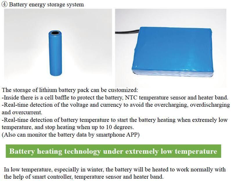 60W Hybrid Wind and Solar LED Street Light (SNH-060)