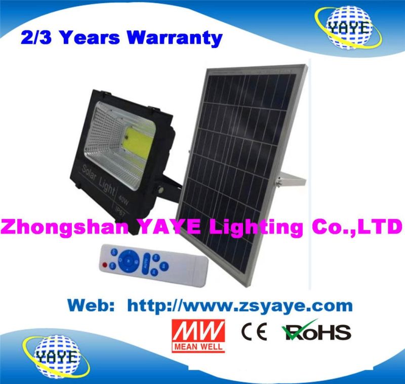 Yaye 2021 Hot Sell Outdoor IP67 COB 40W Solar LED Flood Light / 40W Solar LED Flood Lighting with 2/3 Years Warranty