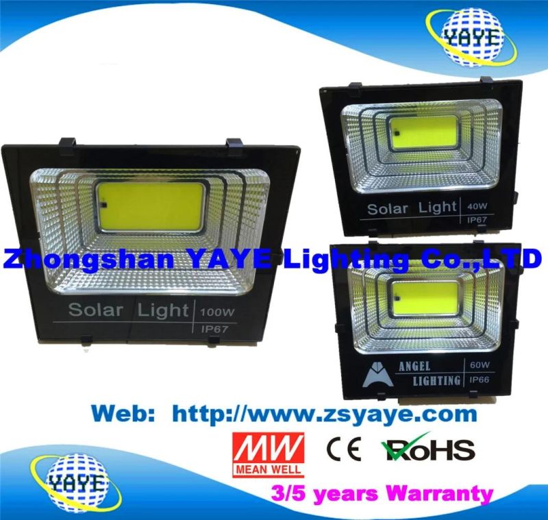 Yaye 18 Hot Sell 100W Solar Flood Light with USD38.5/PC, 60W Solar Flood Light with USD26.5/PC, 40W Solar Flood Light with USD20.5/PC, 25W with USD16.5/PC