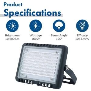 China Factory Manufacturer Explosion-Proof Lamp Outdoor IP65 100W LED Floodlight