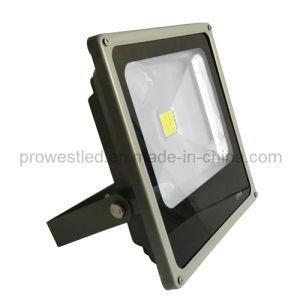 20W LED Flood Light (PW2091)