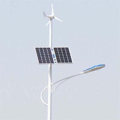 Hepu 100W Wind Solar Hybrid Street Light