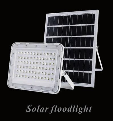 Luminar Solar Landscape 100W LED Lights Solar Panel LED Solarlight Outdoor Solar LED Flood Light DC Systems LED Solar Light