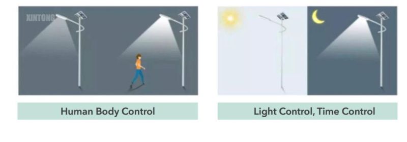 All in Two Cobra Head LED Solar Street Light