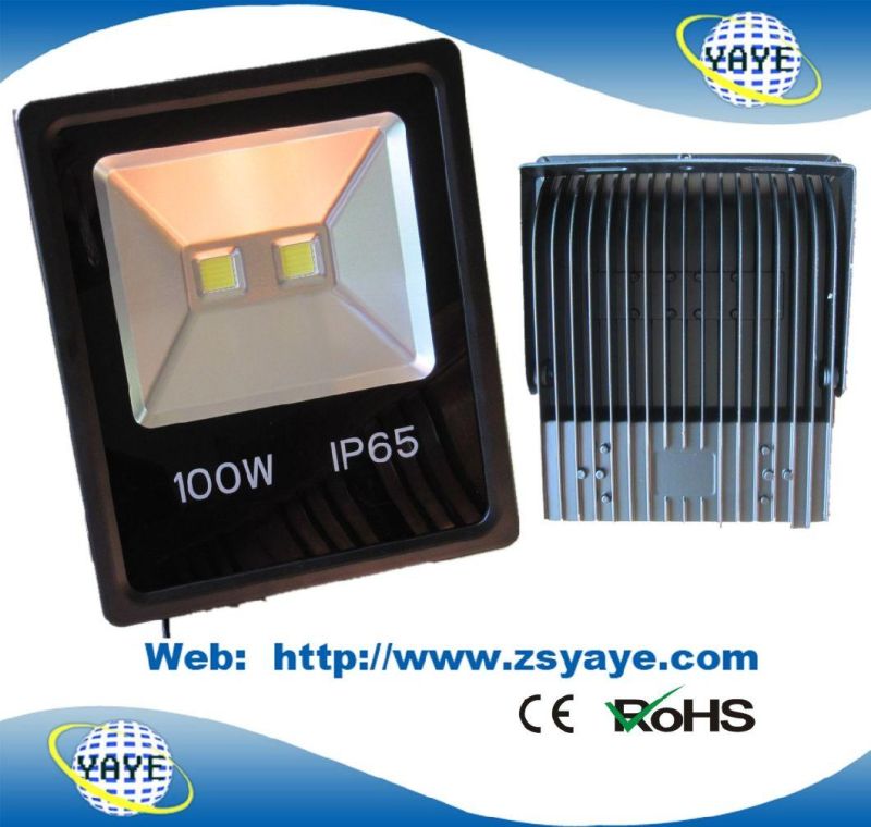 Yaye 18 Newest Design Top Sell 100W/60W Outdoor LED Flood Light & 100W/60W Outdoor LED Tunnellight with Ce/RoHS