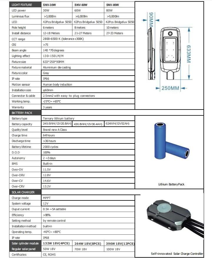 30W LED Vertical Solar Street Light Post (SNV-30W)