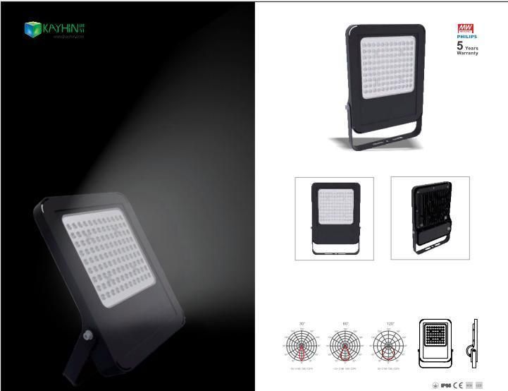 LED Floodlight Outdoor Energy Saving IP65 Waterproof Outdoor Road Street Garden Light SKD SMD COB 30W 50W 100W LED Flood Light