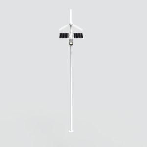 30W LED with Wind-Solar Hybrid Street Lights with 6metres Pole