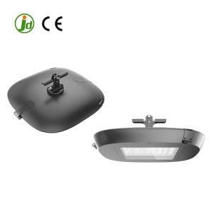 Hot Selling Ies Lm79 Report 30W Park Light Garden Light