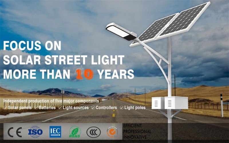 Newest Outdoor Solar Lamp/LED Solar Street Light (LED100)