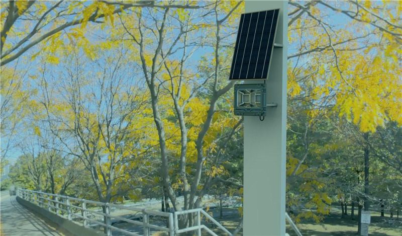 Factory Directly IP67 Die-Casting Aluminum Solar Flood Lights with Remote Control