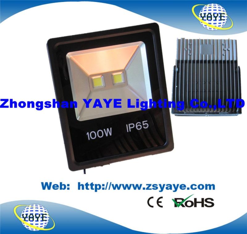 Yaye 18 Hot Sell Good Price COB 20W LED Floodlight / Outdoor LED Flood Light /LED Lighting 20W