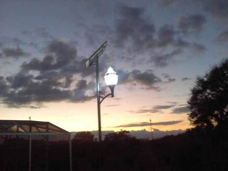 New Great Quality CE Certified Solar Street Light-D60