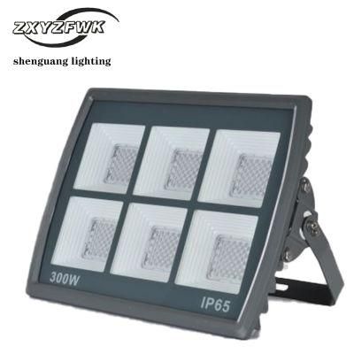 300W Lbw Model Energy Saving Outdoor LED Light with Elegant Design for Garden Decoration