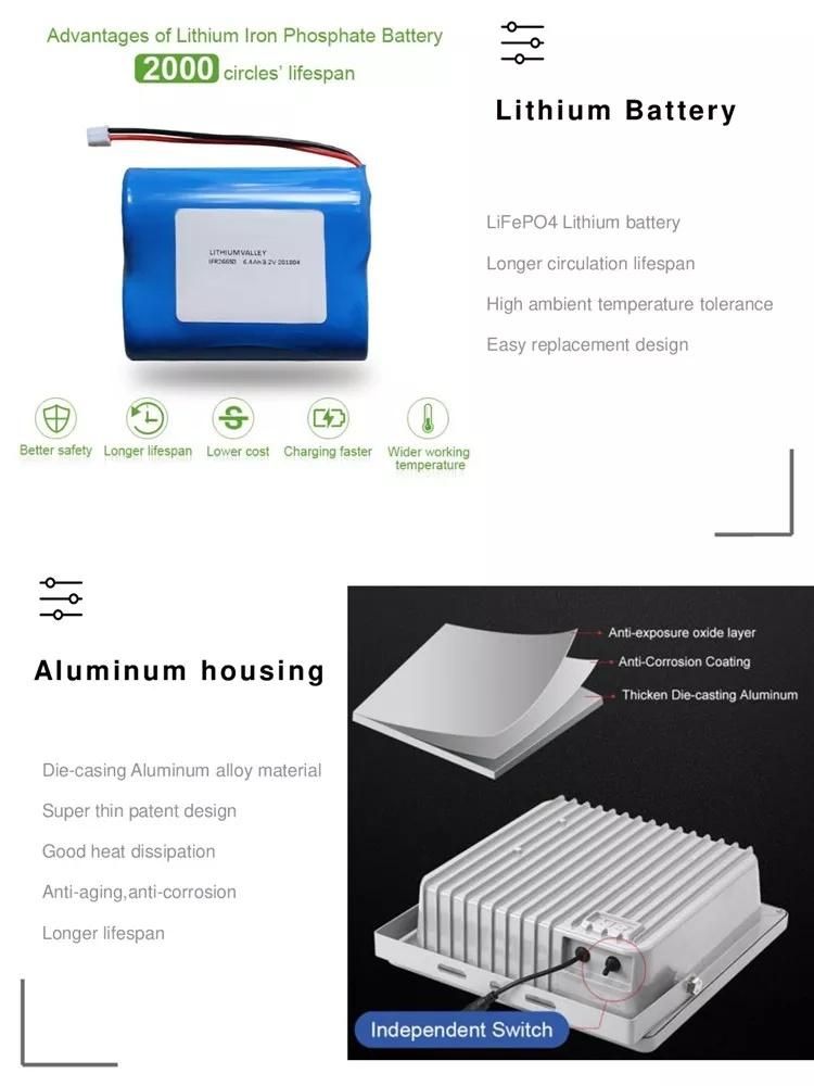 Sfl04-100W Solar Flood Light with Motion Sensor