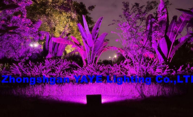 Zhongshan Yaye Lighting Co., Ltd Looking for Agent/Distributor of 800W RGB Solar LED Flood Wall Garden Lighting From The World, Pls Contact Best Supplier Yaye