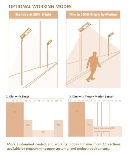 Esavior Solar Panel Cell Efficiency up to 22% 100W LED Solar Street Lights