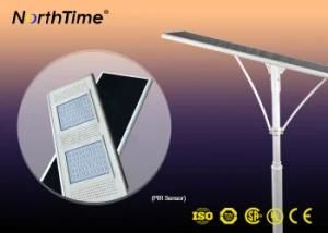 6W-120W Solar Panel Power LED Street Lamps with Motion Sensor