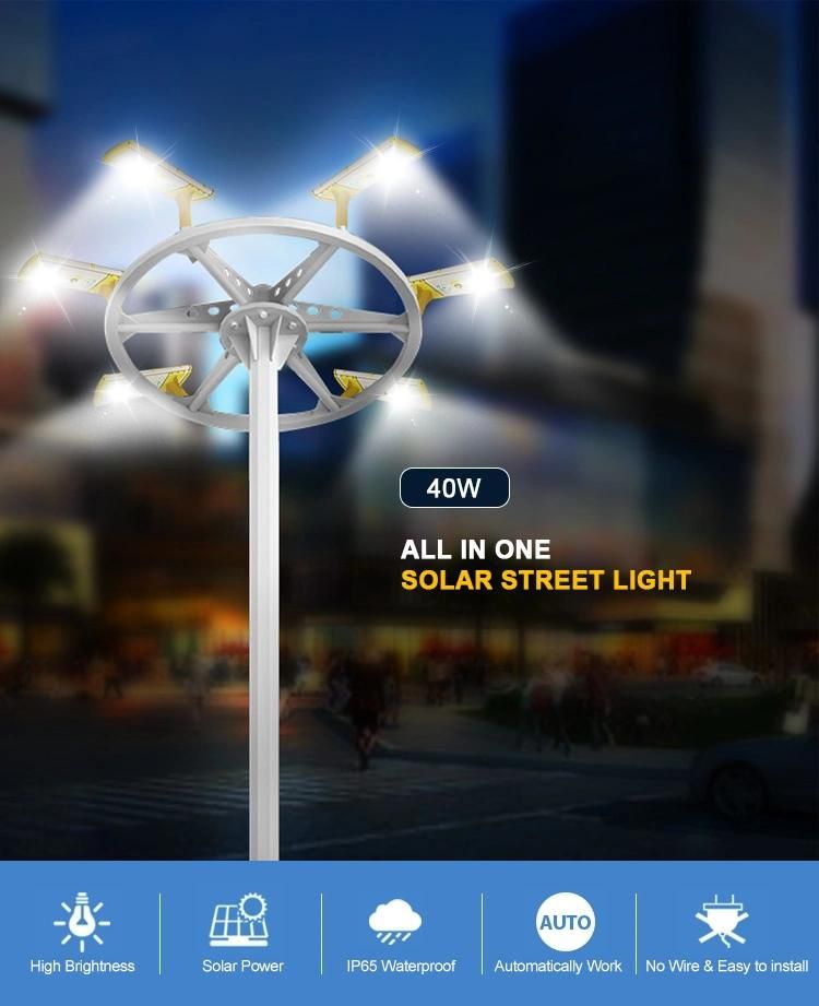 Private Module 40W All in One LED Solar Street Light