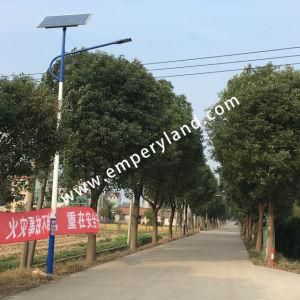 110W High Lux Solar Street Light with Ce&RoHS&FCC Approved