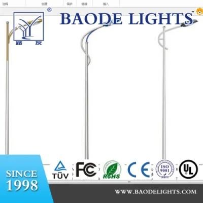 Lucky Bird Series IP65 LED Street Light