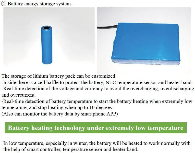 50W Hybrid Wind and Solar LED Street Light (SNH-050)