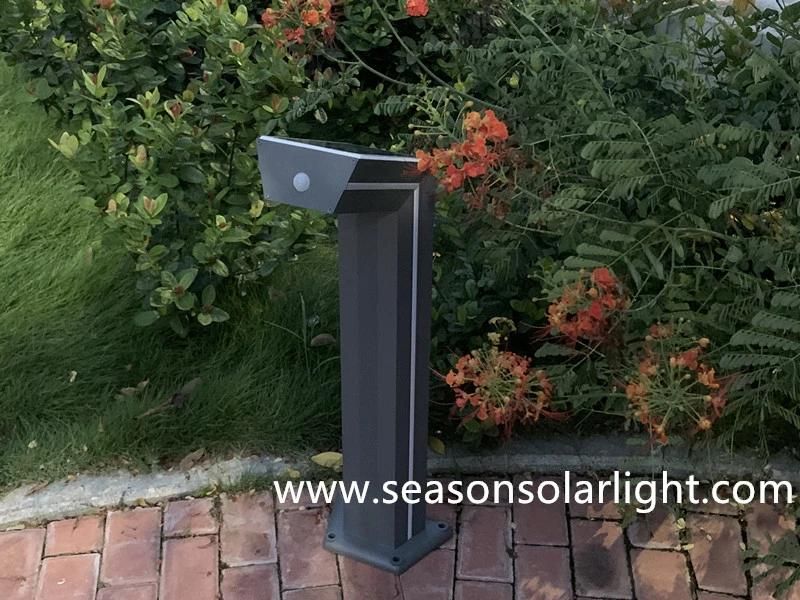 Energy Saving LED Lighting Lamp Outdoor 6W Solar Garden Lighting with LED Lamp Strip