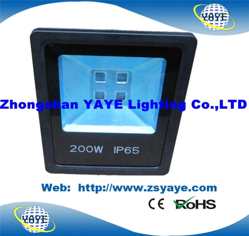 Yaye 18 Top Sell 200W/100W COB LED Flood Light & 200W/100W COB LED Floodlight with 2/3/3 Years Warranty