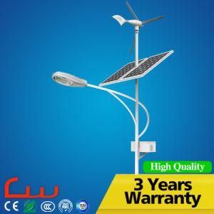 6000k 8m Post 60W LED Solar Wind Hybrid System