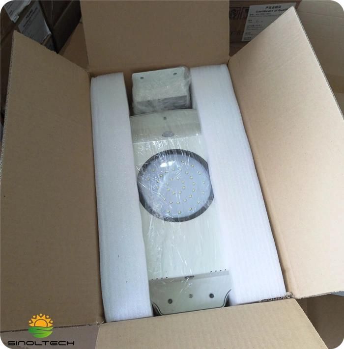 Motion Sensor 6W LED Integrated Solar LED Garden Lamp (SNSTY-206)