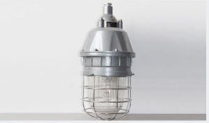 Explosion-Proof Light (HID)