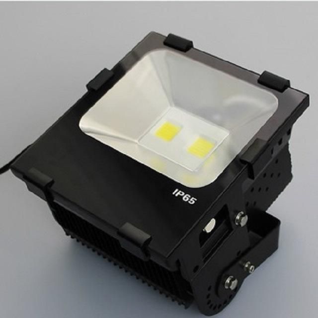 High Power Waterproof Seawater Boat LED Flood Lighting (RB-FLL-100WF2)