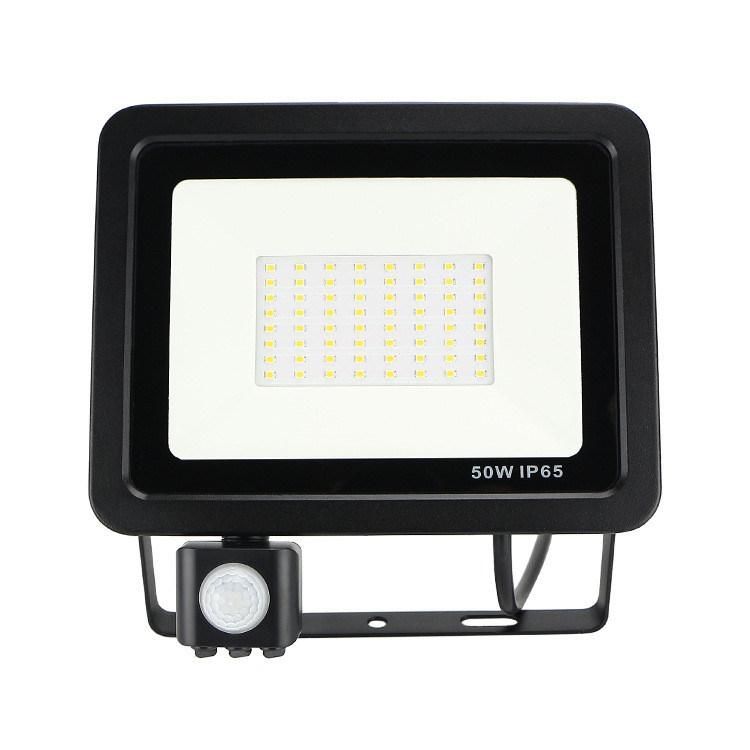 Garden Landscape Spot Lamp Waterproof Induction LED Flood Light