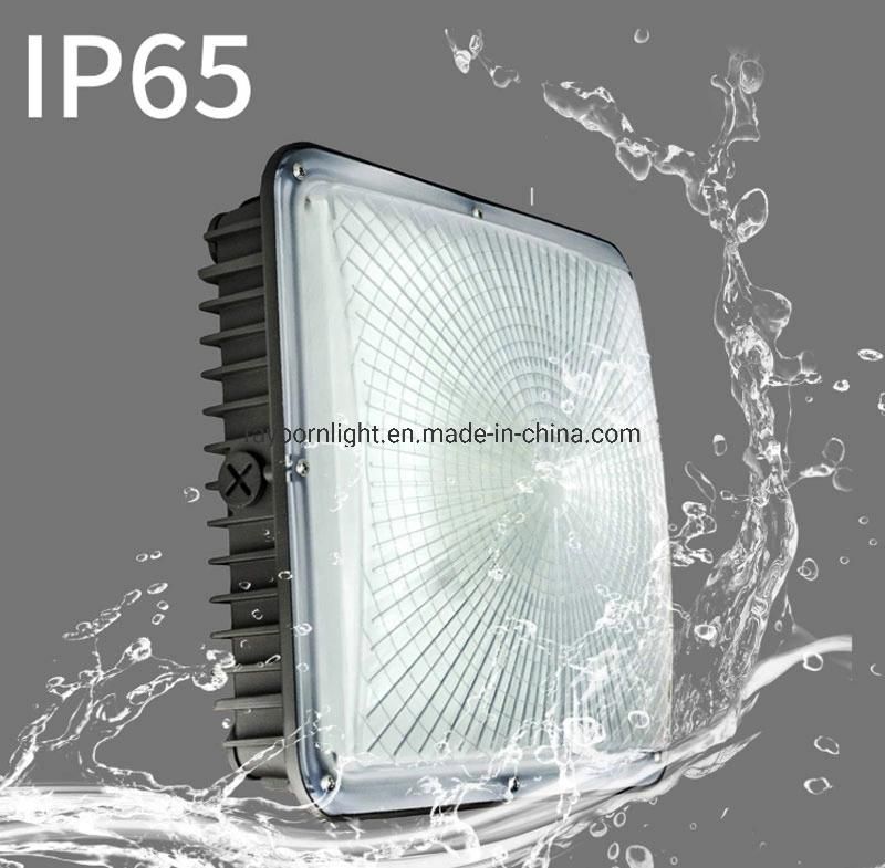 High Quality IP65 Die-Casting Aluminum Alloy LED Canopy Light 80W