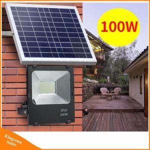 Recharegeable 50W/100W Outdoor Solar Panel Powered LED Flood Light for Street Lawn Lighting