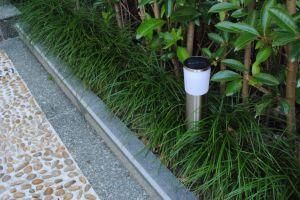 Solar Garden Light, Stainless Steel Solar Stake Light