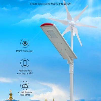 50W Garden Aio Solar Street Light with Wind Turbine