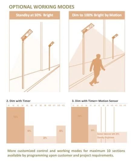 Esavior Patented Diamond Lens Design 80W LED Solar Street Lights