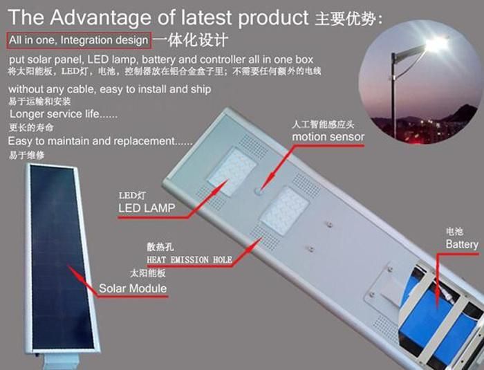 Custom Color 15 Watt All in One Solar PV Integrated LED Garden Lamp