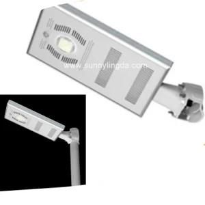 Fast Shipping 10W Solar Powered Garden Lights