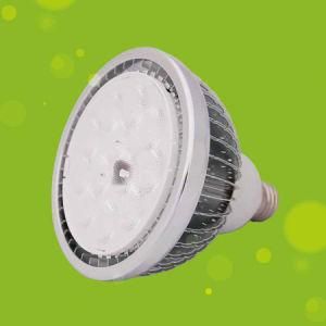 PAR38 LED Spotlight, LED Bulb