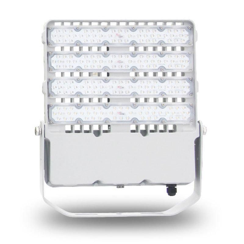 Ce SAA 100W 150W 200W Public Lighting Luminaire for LED Projector Light