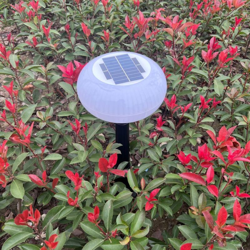 Waterproof IP65 High Quality Beautiful LED Lighting Solar Lawn Light in Garden