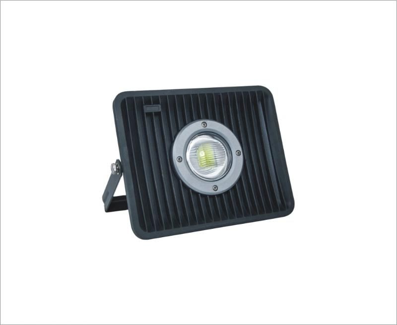 CE RoHS IP65 COB 80W Flood Lamp