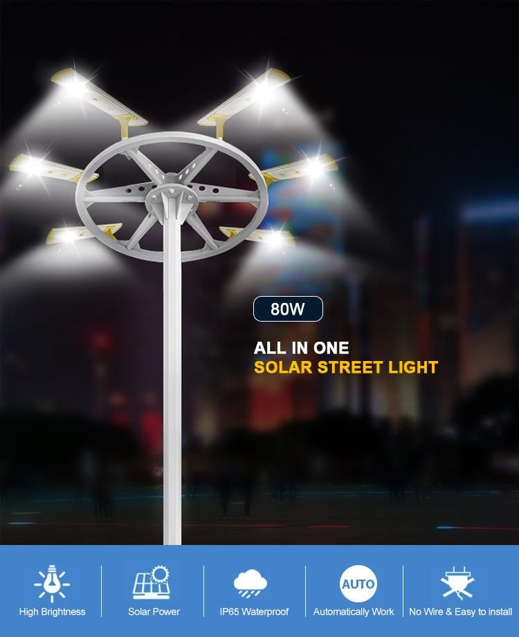 Private Module 80W All in One Solar Powered Street Light