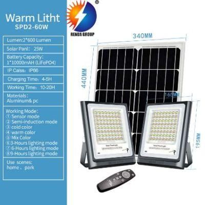 Solar Garden Flood LED Light