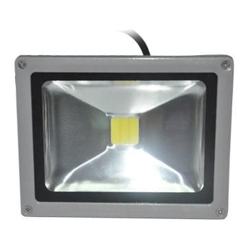 LED 30W High Power Spot Light