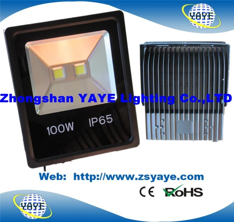 Yaye 18 Newest Design Ce/RoHS Approval 60W LED Flood Light / LED Floodlight/ LED Tunnel Light