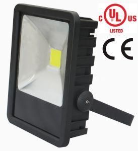 Special Flood Light 120W